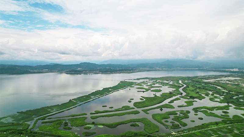 異龍湖生態修復典范：中機國際打造高原湖泊＂綠色屏障＂獲國資委肯定