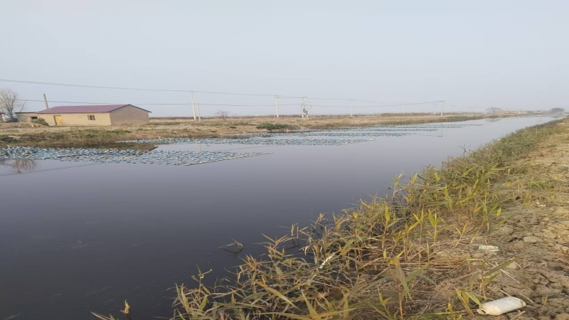 水產(chǎn)養(yǎng)殖尾水治理，助力漁業(yè)綠色生態(tài)高質(zhì)量發(fā)展